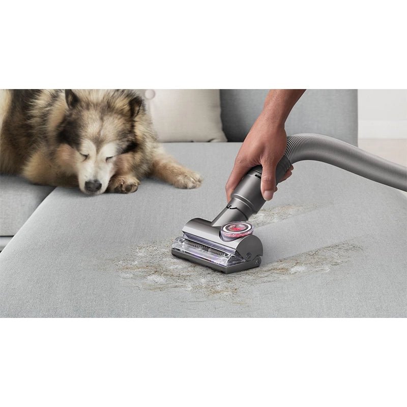 Dyson - Dyson Ball Animal 3 Plus Upright Vacuum (A Grade)