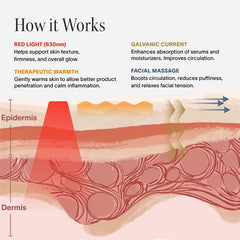 SolaWave - Solawave 4 - in - 1 Red Light Therapy Wand for Face & Neck (Rose Gold)